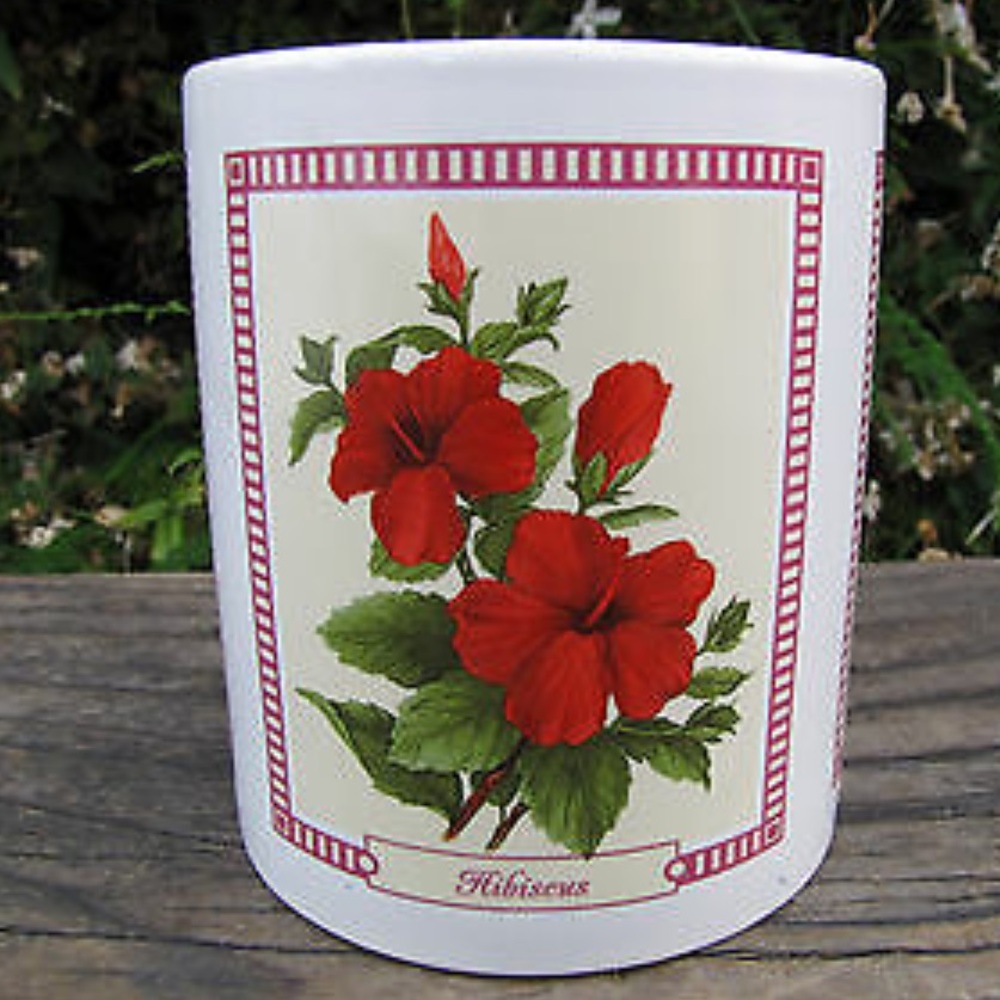 Nwt Hilo Hattie floral mug